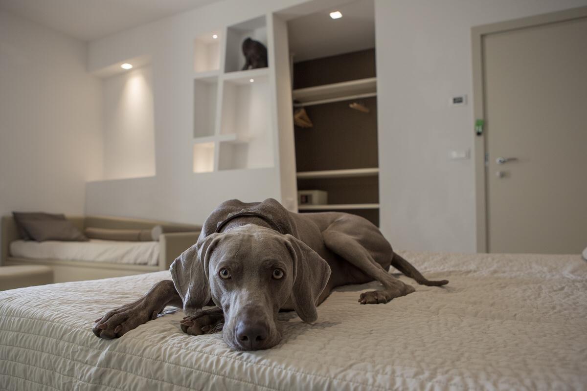 Hotel Principe Rimini Kültér fotó
