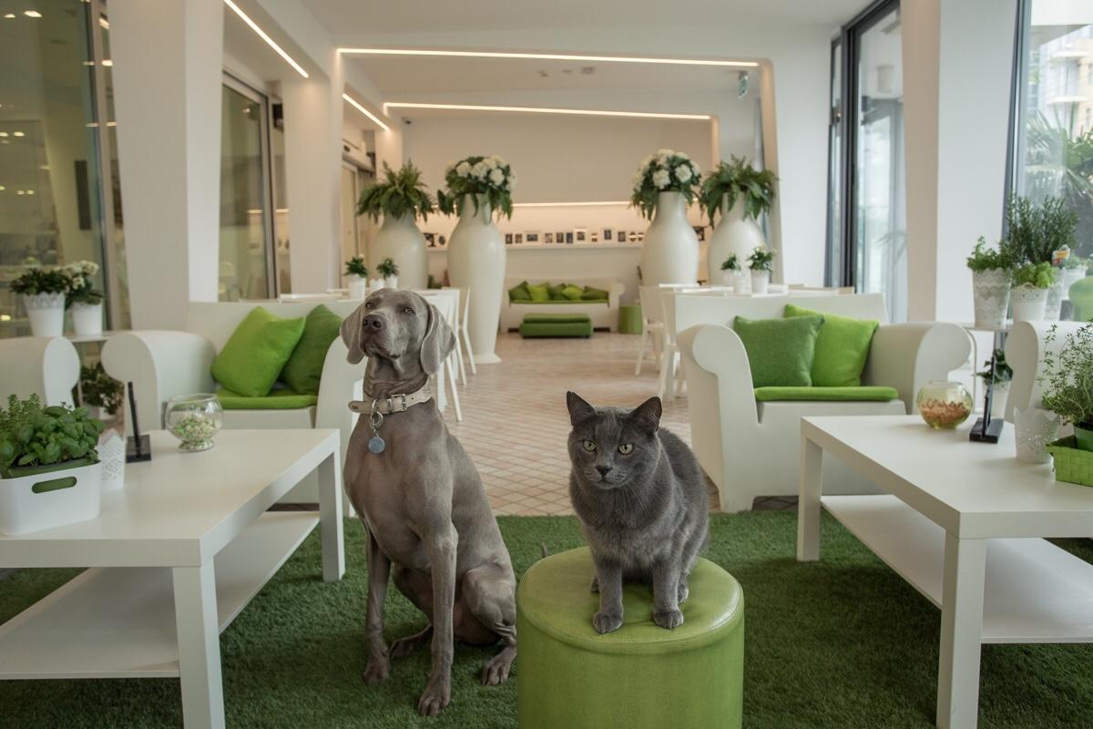 Hotel Principe Rimini Kültér fotó